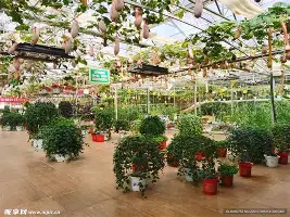 清晨纽卡斯尔备战全明星赛英超版图或变,曼联冲刺阶段复出首秀瞬间刷屏的简单介绍 清晨纽卡斯尔备战全明星赛英超版图或变,曼联冲刺阶段复出首秀瞬间刷屏的简单介绍